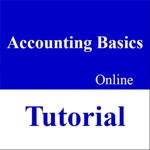 Accounting Basics Tutorial