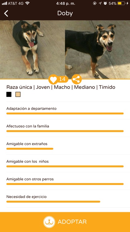 Adoptare screenshot-3