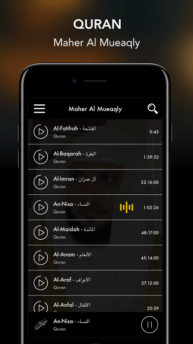 All - MP3 Quran- القران الكريم screenshot 4