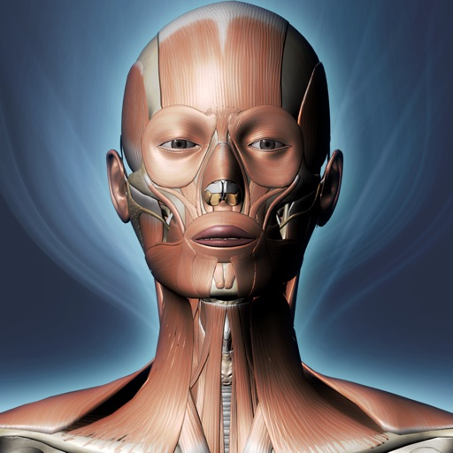 DS ANATOMY HEAD & NECK