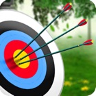 Archery Master Target Shooter