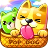PopDog