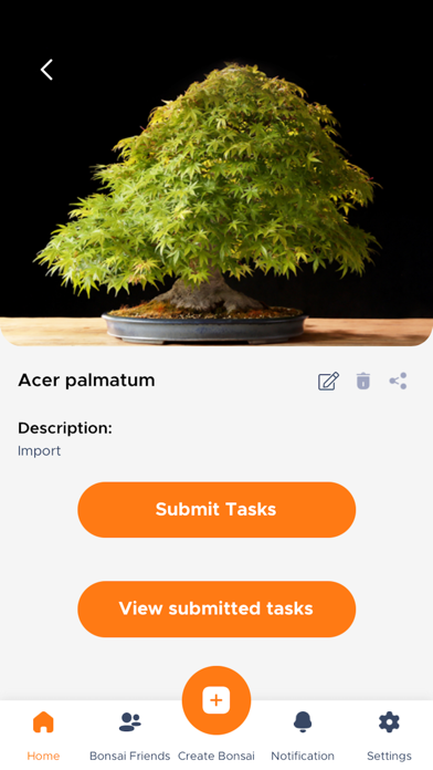 yama-bonsai-jinspire-ipad-screen-shot-3