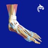 Foot Decide - iPhoneアプリ