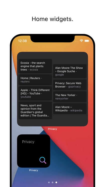 Privacy: secure web browser