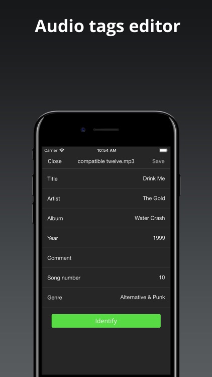 Evermusic Pro - offline music screenshot-4