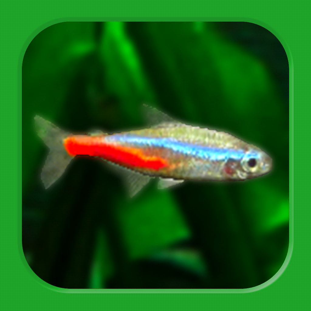 熱帯魚育成 ミニアクア 癒しのアクアリウム体験 Iphoneアプリ Applion