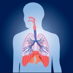 Respiratory System Biology