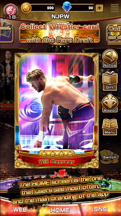 NJPW Collection