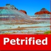 Petrified Forest N. Park