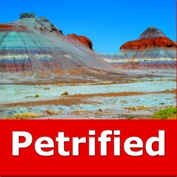 Petrified Forest N. Park