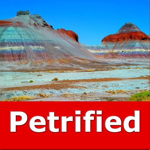 Petrified Forest N. Park