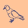 Pigeon Pass