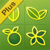 신영증권 SmarTree Plus