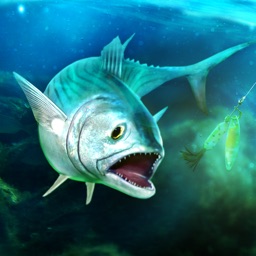 Fishing Deep Sea Simulator 3D - Immersive Fish Catching Game Thread -  IndieDB