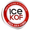 FEMSA ICE