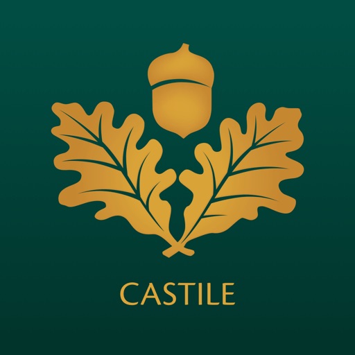 Bank of Castile Mobile