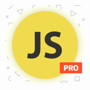 Learn JavaScript Coding [PRO]