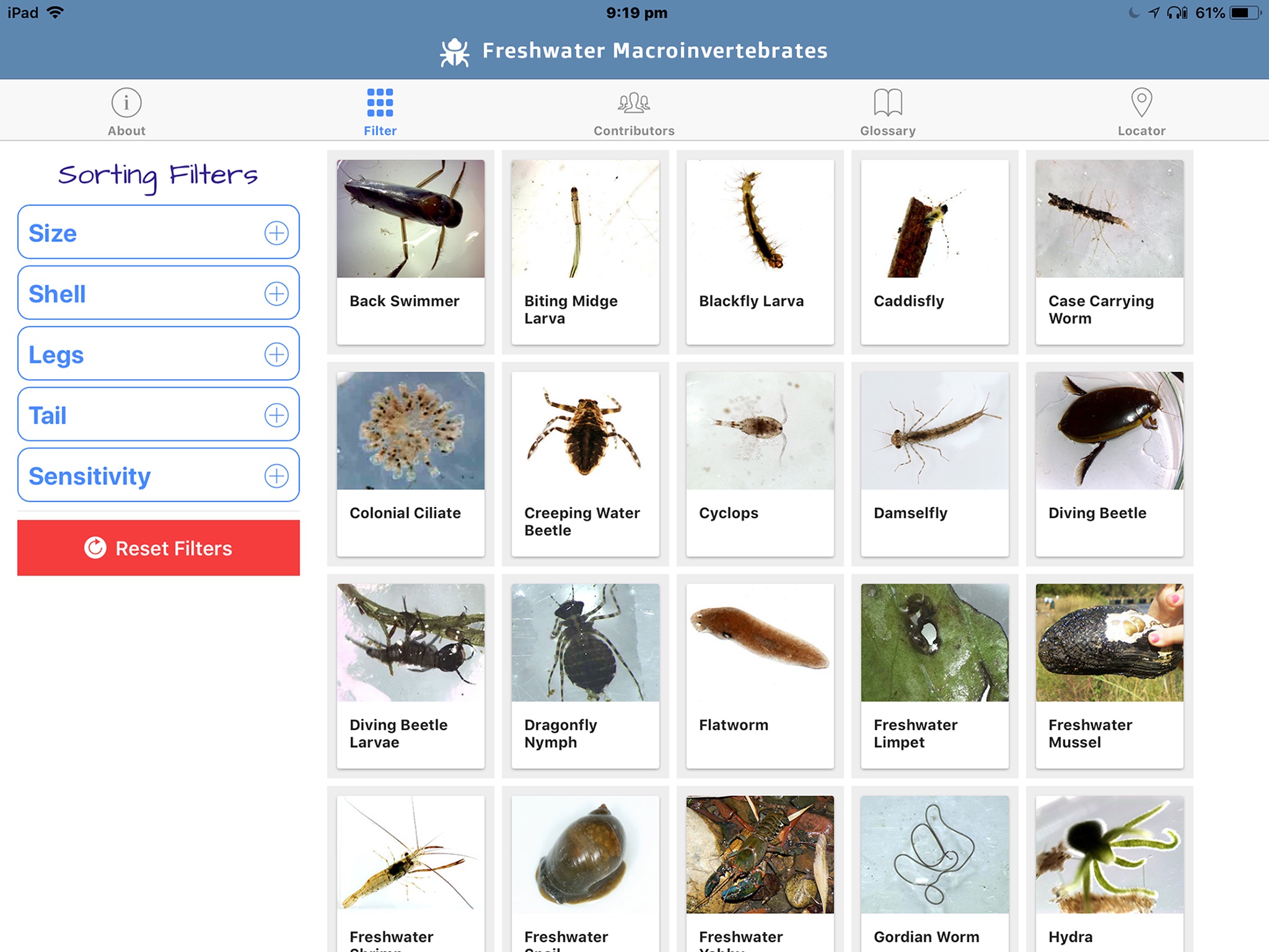 Freshwater Macro Invertebrates screenshot 2
