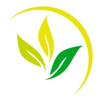 Pharmacorp pour PC