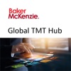 Global TMT Hub