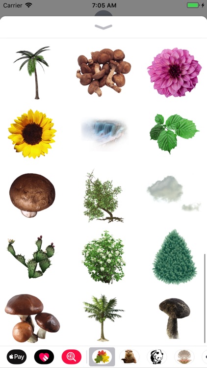 Nature Stickers Pack