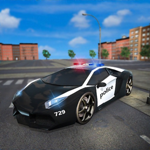 Police Border Patrol Simulator iOS App