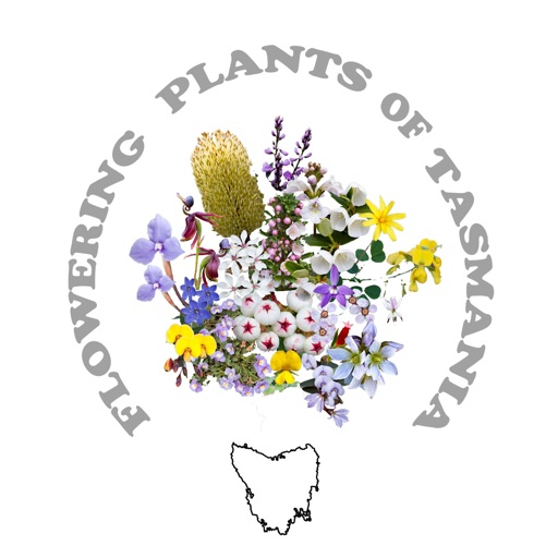 Flowering Plants of Tasmania