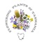 Discover the beauty, diversity and uniqueness of Tasmanian wildflowers with this app for iPod/iPhone and iPad