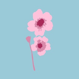 Cherry-Blossom Bakery