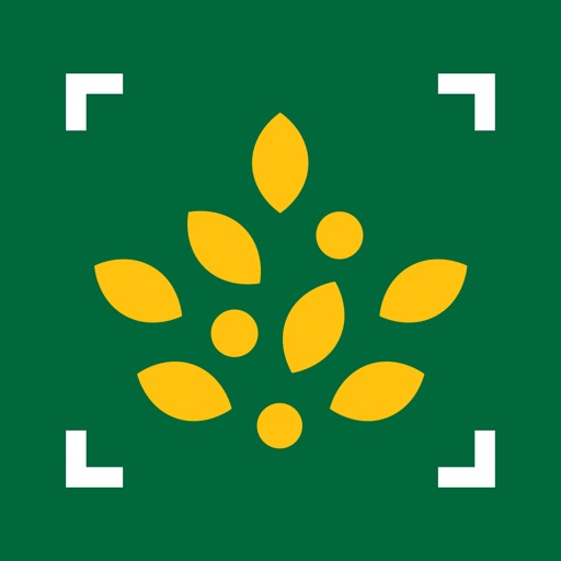 Get Morrisons Scan & Shop for iOS, iPhone, iPad Aso Report