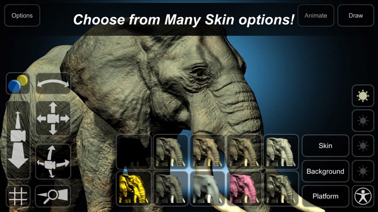 Elephant Mannequin screenshot-4