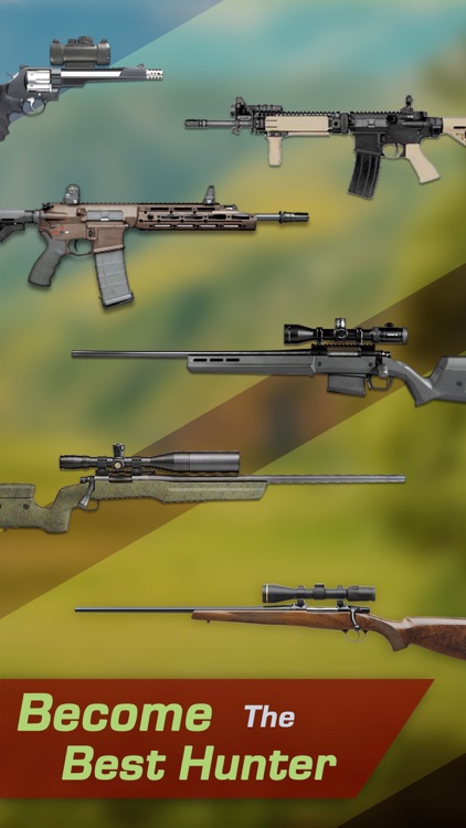 Coyote Target Shooting