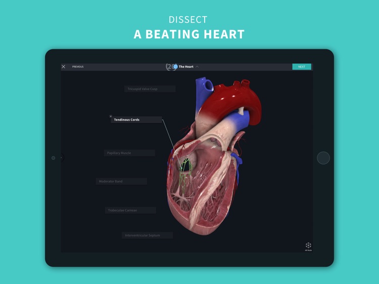 Complete Anatomy 2022 screenshot-6