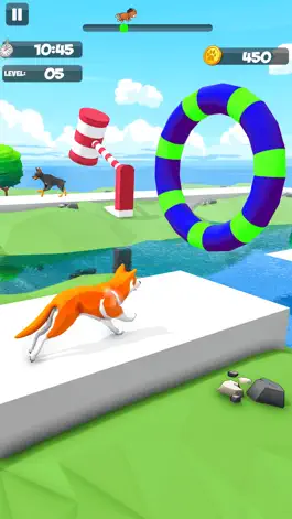 Game screenshot Dog Run Racer - Fun Race 3D hack
