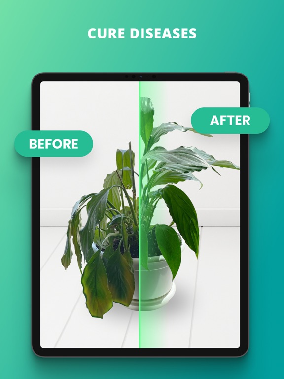 iPad Image of PlantIn: Plant Identifier