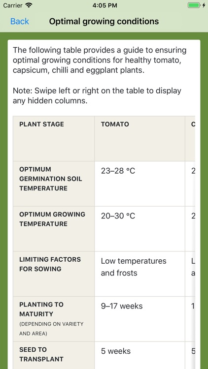 Solanaceae Fruit Field Guide