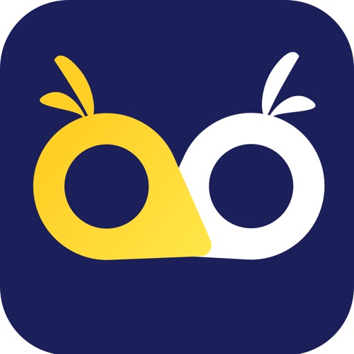 OWL Secure VPN Master, Hide IP iOS App