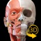 Free access to 3D anatomical models of skull and upper limb (bones and muscles)