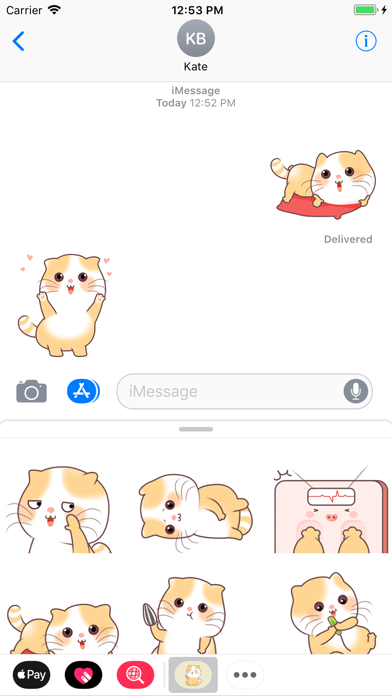 Chubby Kitty Animated Stickers screenshot 3