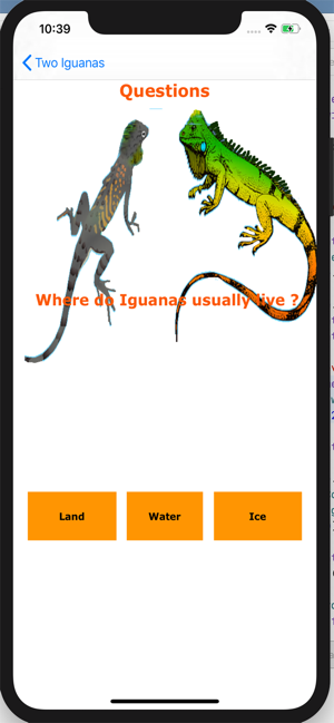 ‎Two Iguanas Screenshot