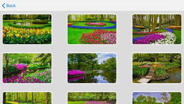 Tile Puzzle Keukenhof Garden(圖3)-速報App