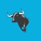 Bullish India is a SEBI registered, the best Stock advisory company in India