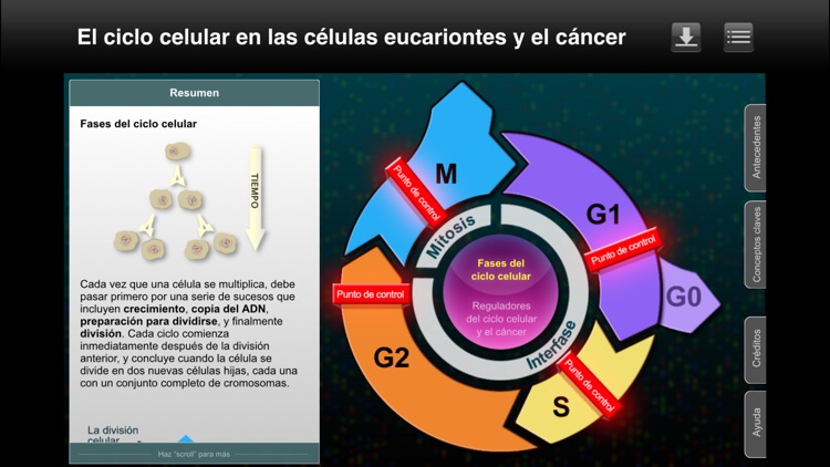 Haz clic y aprende