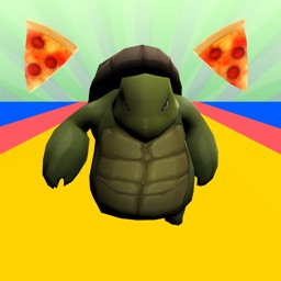Turtle Run 3D