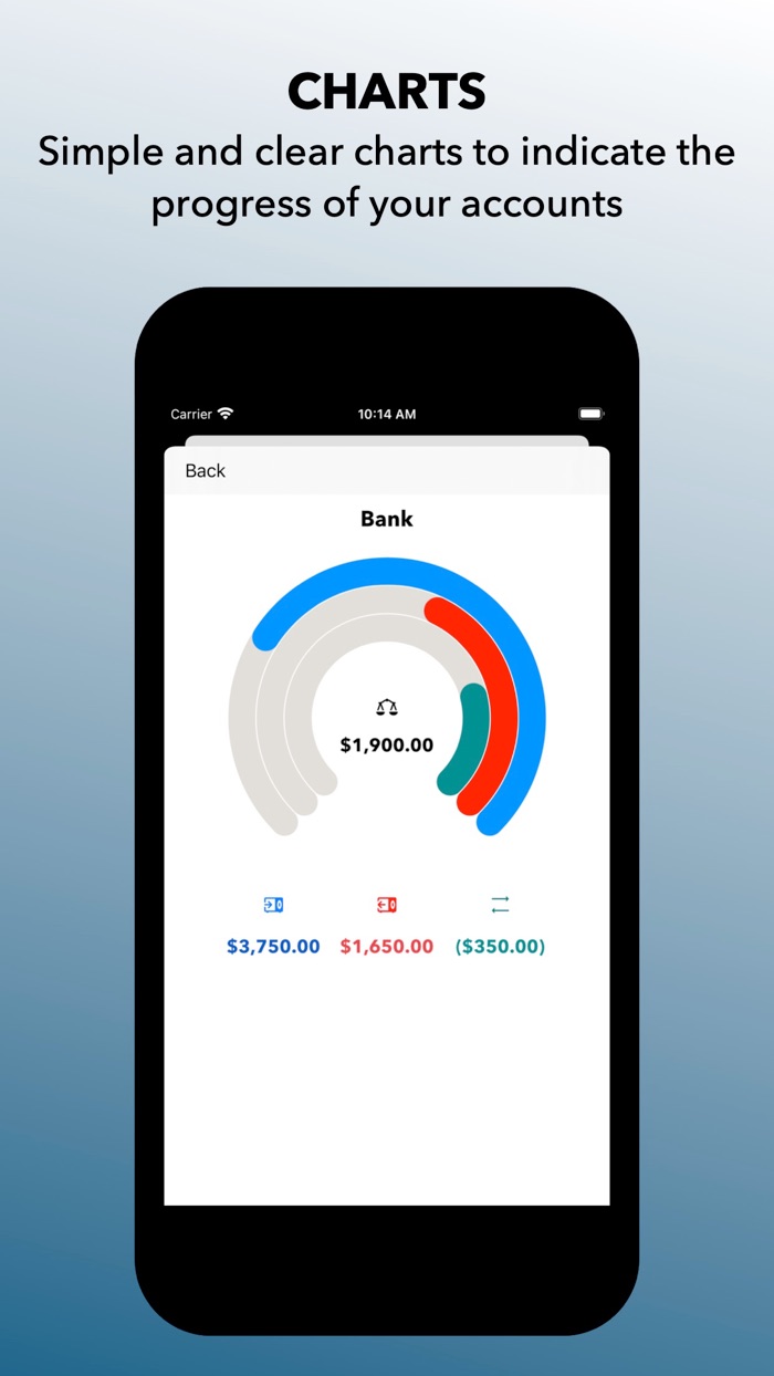 In and Out Essential CashBook