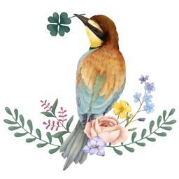 Birds Life Stickers!