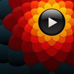 Michel Thomas Mandarin