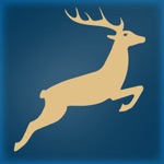 HIRSCH-SPRUNG - for iPad