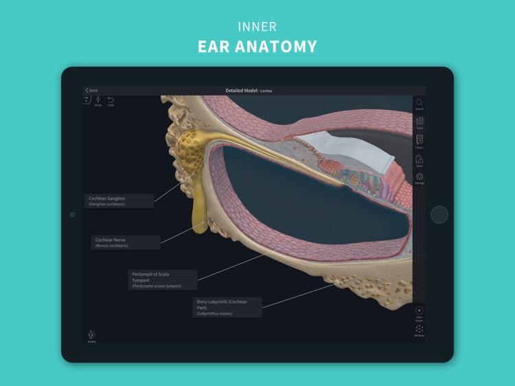 Complete Anatomy 2022 screenshot-5